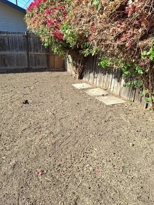 Cleared residential yard with gravel surface, removed overgrown vines and dead vegetation from fence line